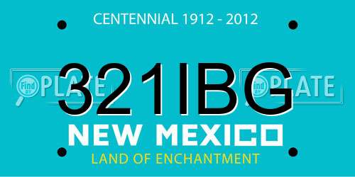 321IBG New Mexico License Plate