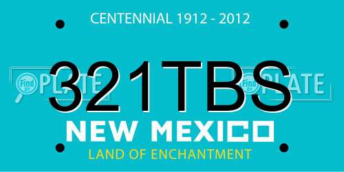 321TBS New Mexico License Plate