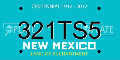 321TS5 New Mexico License Plate