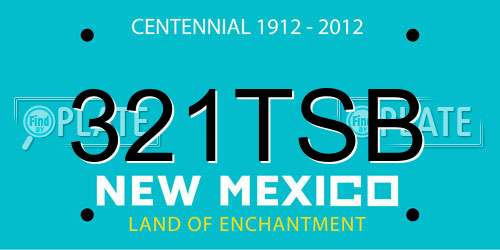 321TSB New Mexico License Plate