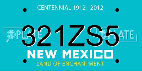 321ZS5 New Mexico License Plate