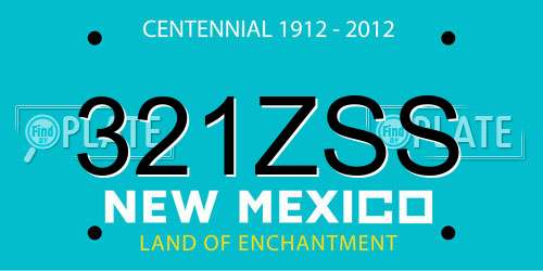 321ZSS New Mexico License Plate