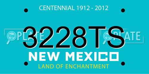 3228TS New Mexico License Plate