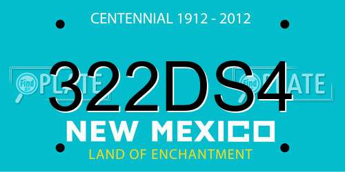 322DS4 New Mexico License Plate