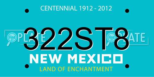 322ST8 New Mexico License Plate