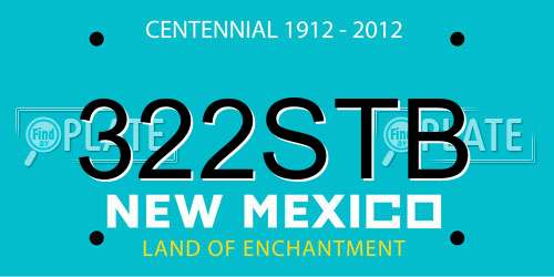322STB New Mexico License Plate
