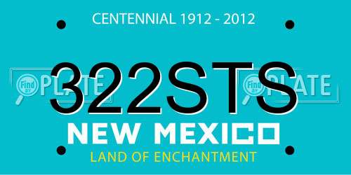 322STS New Mexico License Plate