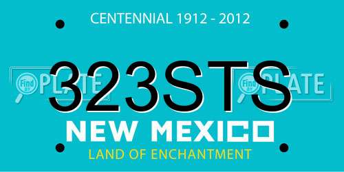 323STS New Mexico License Plate