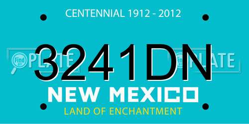 3241DN New Mexico License Plate