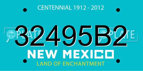 32495B2 New Mexico License Plate