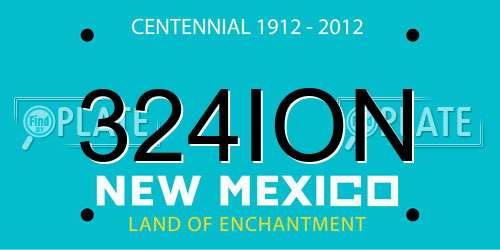 324ION New Mexico License Plate