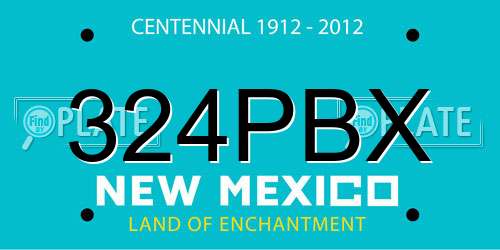 324PBX New Mexico License Plate
