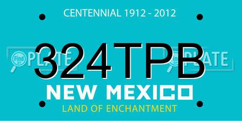 324TPB New Mexico License Plate