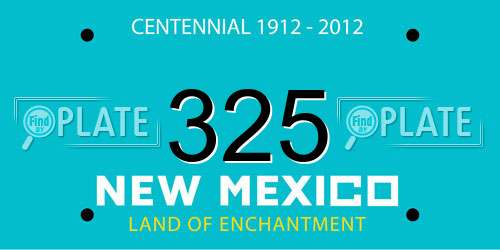 325 New Mexico License Plate