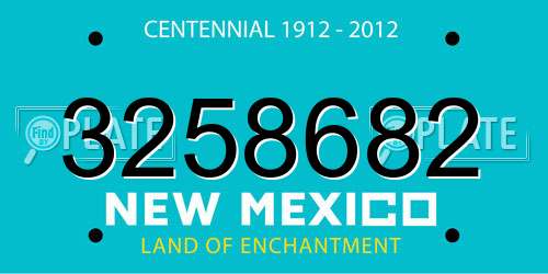 3258682 New Mexico License Plate