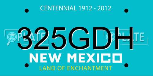 325GDH New Mexico License Plate