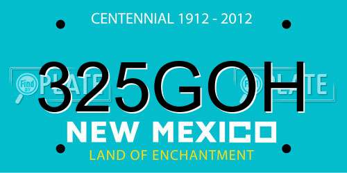 325GOH New Mexico License Plate