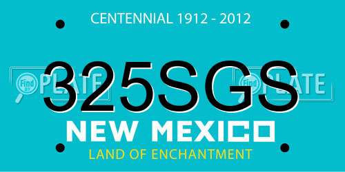 325SGS New Mexico License Plate