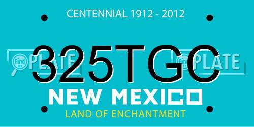 325TGC New Mexico License Plate