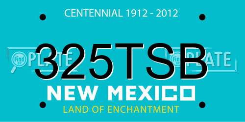 325TSB New Mexico License Plate