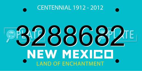 3288682 New Mexico License Plate