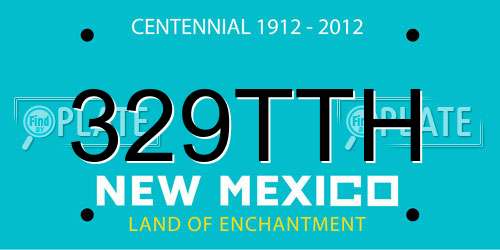 329TTH New Mexico License Plate