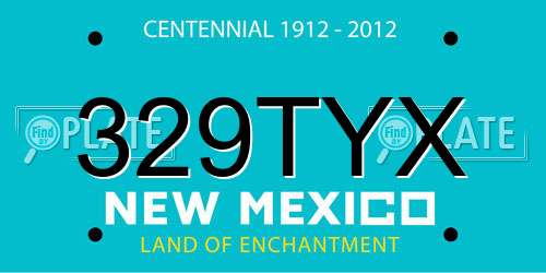 329TYX New Mexico License Plate
