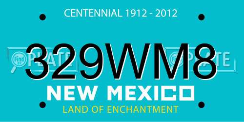 329WM8 New Mexico License Plate