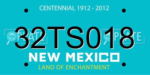32TS018 New Mexico License Plate