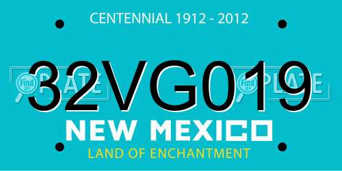 32VG019 New Mexico License Plate