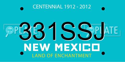 331SSJ New Mexico License Plate