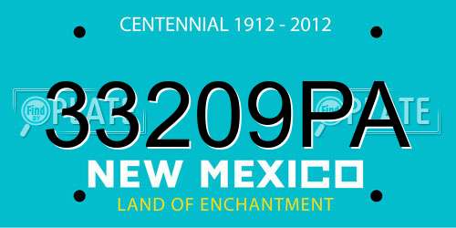 33209PA New Mexico License Plate