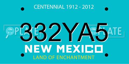 332YA5 New Mexico License Plate