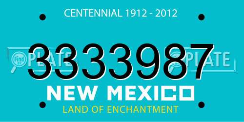 3333987 New Mexico License Plate