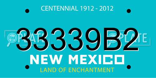 33339B2 New Mexico License Plate