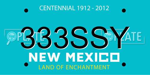 333SSY New Mexico License Plate