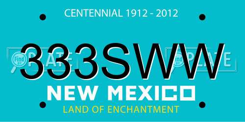333SWW New Mexico License Plate