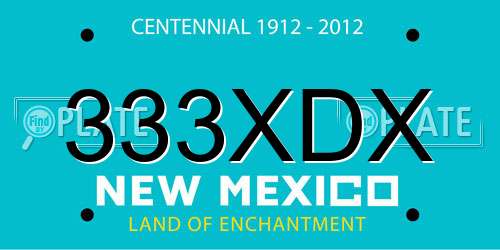 333XDX New Mexico License Plate