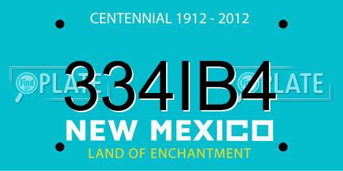 334IB4 New Mexico License Plate