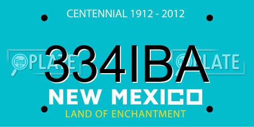 334IBA New Mexico License Plate