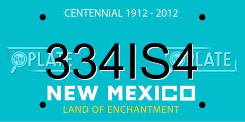334IS4 New Mexico License Plate