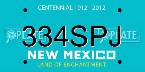 334SPJ New Mexico License Plate