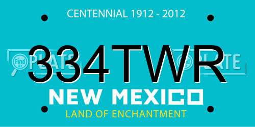 334TWR New Mexico License Plate