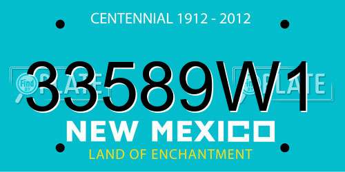 33589W1 New Mexico License Plate