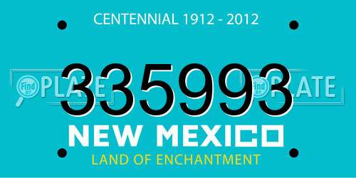 335993 New Mexico License Plate