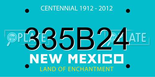 335B24 New Mexico License Plate