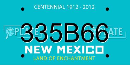 335B66 New Mexico License Plate