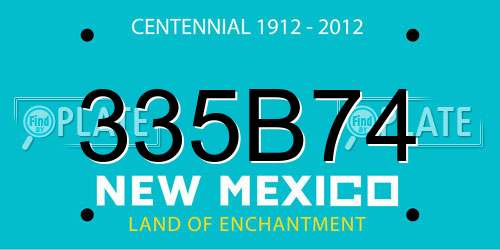 335B74 New Mexico License Plate