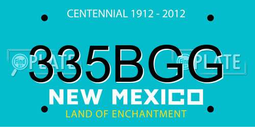 335BGG New Mexico License Plate
