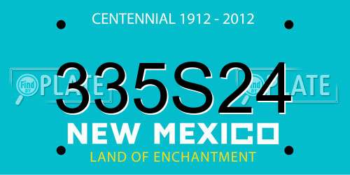 335S24 New Mexico License Plate
